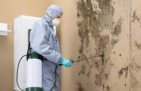 Best Comprehensive Air Testing for Mold Contaminants in Middletown, NY